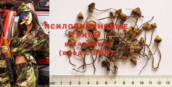 spice Балахна