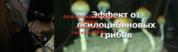 spice Балахна