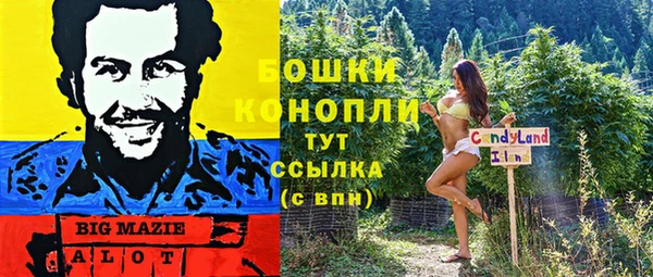 spice Балахна