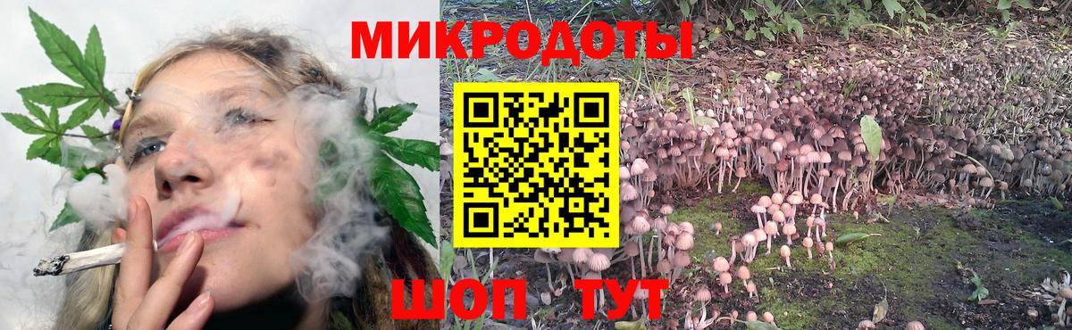 Галлюциногенные грибы прущие грибы Каспийск