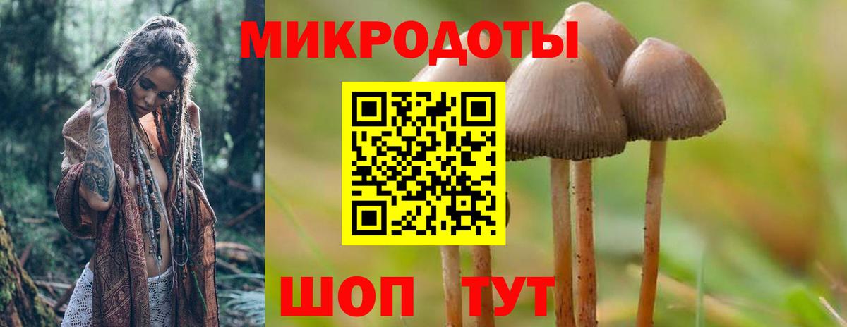 Псилоцибиновые грибы Psilocybe  Вход с VPN  купить наркоту  Каспийск 